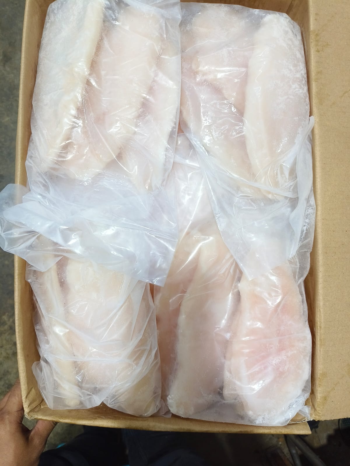 Fillet Dori Beku